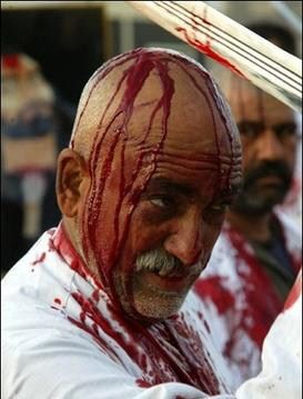 ghamezani 3.jpg