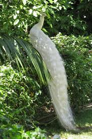 images17.jpg