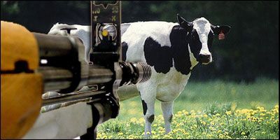 Name:  animals.jpg
Views: 382
Size:  25.1 KB