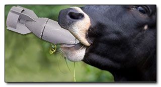 Name:  animals3.jpg
Views: 434
Size:  11.9 KB