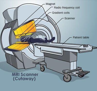 cutaway.jpg