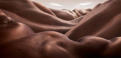 desert-backs2.jpg
