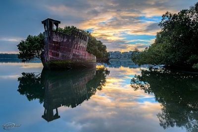 floatingforest2.jpg