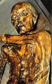 otzi.jpg