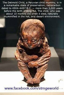 mummy.jpg