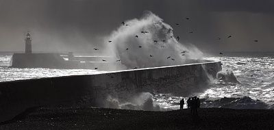 potd-wave_2722348k.jpg