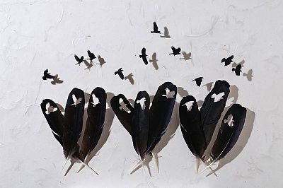 feather-cutting-art-chris-maynard-featherfolio-1.jpg