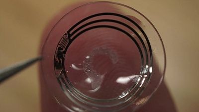 _72344952_lens.jpg