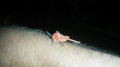 20140120_204457.jpg