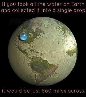 1453236_548677398552007_1620672749_n.jpg
