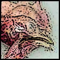 Name:  beak.jpg
Views: 634
Size:  19.5 KB