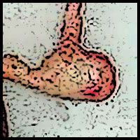 Name:  crop.jpg
Views: 664
Size:  16.9 KB