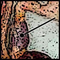 Name:  proventriculus.jpg
Views: 526
Size:  18.6 KB