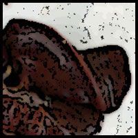 Name:  liver.jpg
Views: 584
Size:  13.6 KB