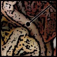 Name:  duodenum.jpg
Views: 671
Size:  17.3 KB