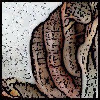Name:  small-intestine.jpg
Views: 625
Size:  20.1 KB