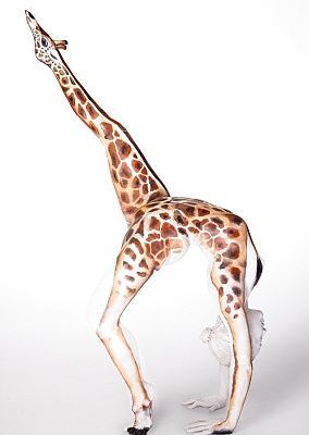 contort.jpg