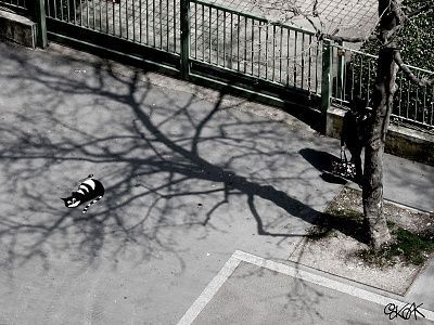 street-art-oak-oak-2.jpg
