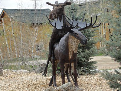 little-life-like-moose.jpg