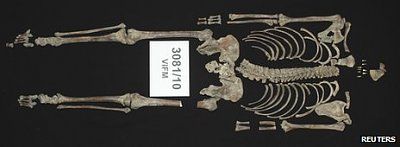 _65364144_skeleton_reu.jpg