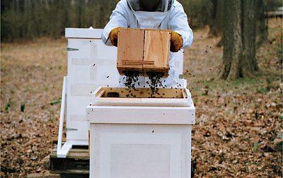 honey-comb-sculptures-002.jpg