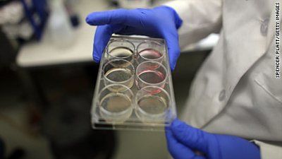stemcells.jpg