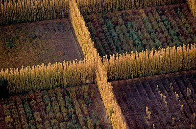 earth_from_above_10.jpg