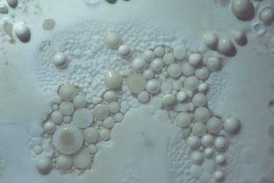 cave-pearls.jpg