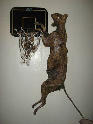 mummified-cat-2.jpg