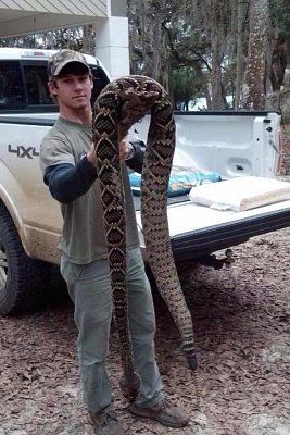 big-20snake.jpg