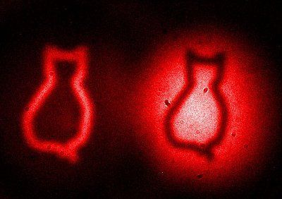 quantum-cats-1_83007_990x742.jpg