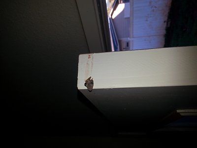 20141003_071606.jpg