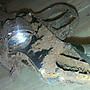 gun-found-remodel-011.jpg