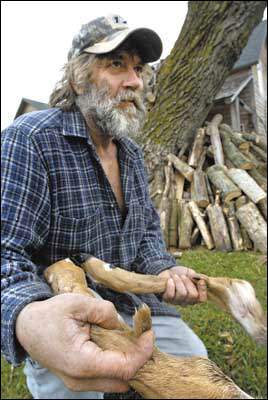 deer_7_legs1.jpg