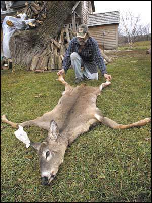 deer_7_legs2.jpg
