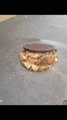 fatberg.jpg
