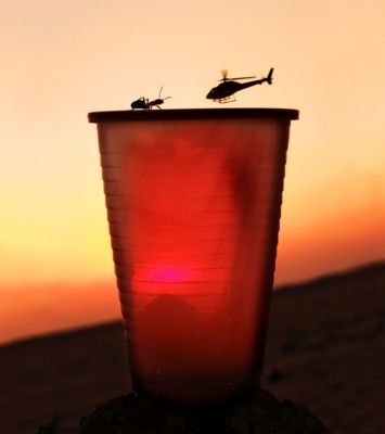 helicopter-and-ant.jpg