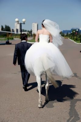 horse-bride.jpg