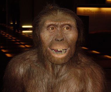 afarensis-recon-attr-%271997%27.jpg