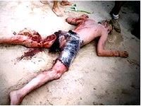 Name:  img6563.jpg
Views: 860
Size:  9.4 KB