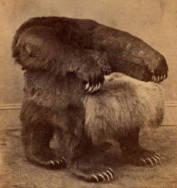 grizzlybearchair1.jpg