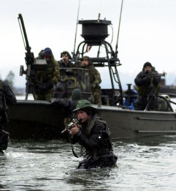 sealshallowwaterinfil360.jpg