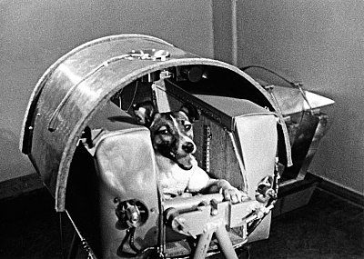 wellerstein-laika.jpg