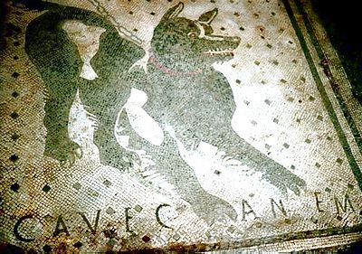 tn_mosaic.jpg