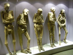 dr20.jpg