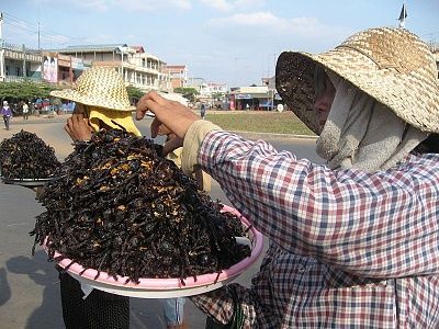 800px-fried_tarantula_cambodia2.jpg