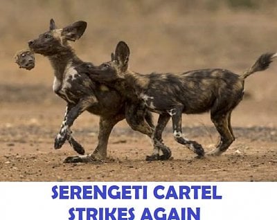 severedhead.jpg