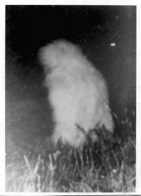 lake-worth-monster.jpg