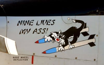 Noseart 9Lives.jpg