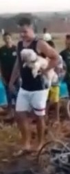 crashpoodle.jpg